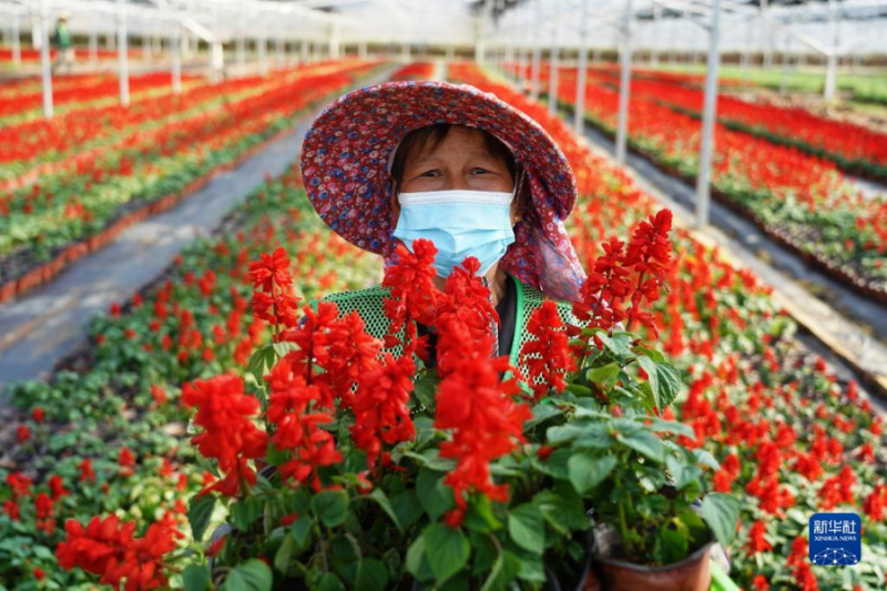 鮮花綻放致富路